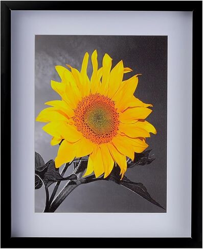 إطار صورة صندوق الظل العميق من البوليسترين مقاس 2-3/16 بوصة - من WholesaleArtsFrames-com 20x30 2880 - أسود - أمريكي الصنع in Kuwait