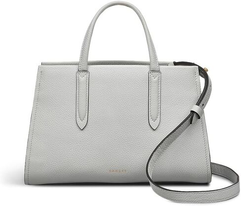 RADLEY London Arlington Court Women's Medium Leather Zip Around Satchel Bag in Saudi Arabia