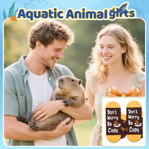 هدايا HAPPYPOP Capybara للرجال والنساء - جوارب كابيبارا المضحكة، هدايا حيوانات لتخزين الهدايا للمراهقين in Kuwait