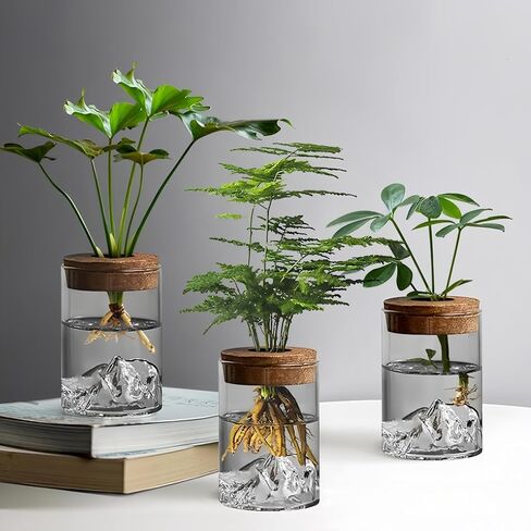 Plant Propagation Stations, Desktop Propagated Plant Jars, Lid Hydroponic Glass Planter for Office and Home Table Decorations in Saudi Arabia