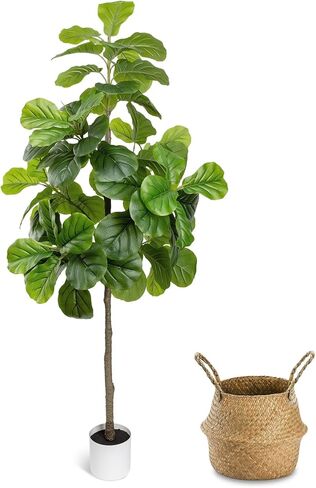 شجرة تين صناعية بأوراق الكمان بطول 6 أقدام - شجرة وهمية كبيرة مع مزارع وسلة بيضاء، نباتات أرضية شجرة ليراتا صناعية طويلة للديكور الداخلي للمنزل والمكتب وغرفة المعيشة هدية الترحيب بالمنزل الجديد، عبوة واحدة in Kuwait