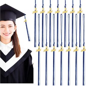 Shappy 14 قطعة لعام 2024 شرابة التخرج الأكاديمية شرابة مع زخرفة لإكسسوارات حفلات الخريجين (أخضر)
