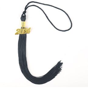 2024 Tassel Graduation with Gold Charm 9" Single and Multiple Color for Ceremony, Photo, Party Graduation Tassel 2024 Gift Idea (Gold)