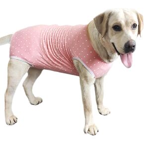 Recovery Suit Post Surgery for Large Medium Dog, Spay Recovery Suit for Male and Female Dogs, Post Surgery Dog Onesie, Substitute E-Collar & Cone (Purple-XL)