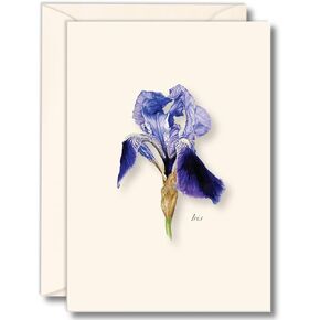 Earth Sky + Water - Iris Notecard Set - 8 Blank Cards with Envelopes