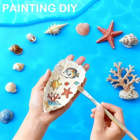 30Pcs Oyster Shells for Crafts 4"-6'' Large Oyster Shells for Crafts Christmas Ornaments Oyster Shell Beach Themes Home Decor Painting Wedding in Saudi Arabia