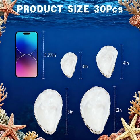 30Pcs Oyster Shells for Crafts 4"-6'' Large Oyster Shells for Crafts Christmas Ornaments Oyster Shell Beach Themes Home Decor Painting Wedding in Saudi Arabia