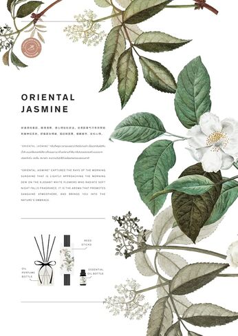 BONSOIR Premium Natural Alcohol-Free Reed Diffuser Set 60 ml (2 oz) with Long Lasting Fragrance | Perfect for Bedroom, Office, Bathroom and Living Space (Oriental Jasmine), Soft Yellow in Saudi Arabia