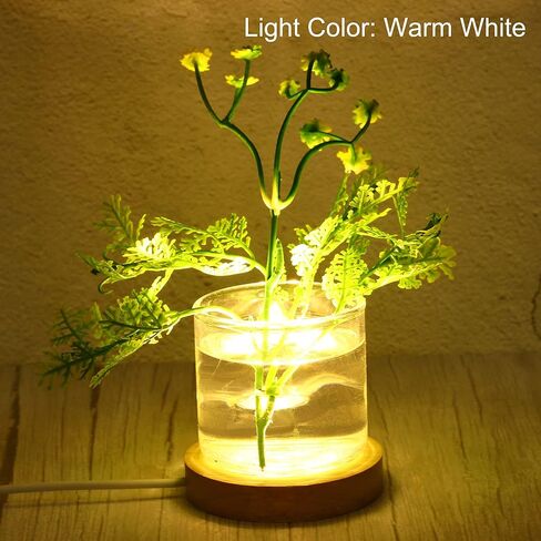 Wooden LED Light Base Stand, Round Wooden 2.56" Dia Warm White Lights Display Pedestals for Crystal Glass Art Decorations, Wood Color in Saudi Arabia