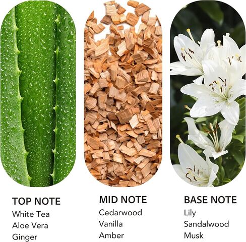 رائحة الفنادق الفاخرة Dream On Diffuser Oil بدون ماء علاج عطري أساسي للهواء البارد وموزعات السيارات - إعادة تعبئة طويلة الأمد للغرفة الكبيرة والمنزل - غير سام، شاي أبيض مميز (20 مل / 0.68 أونصة سائلة) in Kuwait