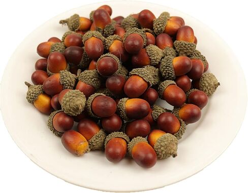 Fake Acorns for Decorations Artificial Acorn for Crafts 50pcs Lifelike Simulation Acorns for Squirrels Thanksgiving Christmas Ornaments Natural Decoration, Curry 0.7 * 1.2 * 0.7in (Brown) in Saudi Arabia