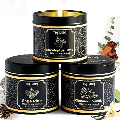 Candle Gift Set Of 3 Sage Pine|Cinnamon Vanilla|Eucalyptus Lime Highly Scented Soy Candels Clean Non Toxic Velas Aromáticas Favors For Women Coworkers Friends Guests Also For Diwali Christmas Holidays in Saudi Arabia