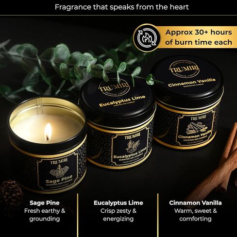 Candle Gift Set Of 3 Sage Pine|Cinnamon Vanilla|Eucalyptus Lime Highly Scented Soy Candels Clean Non Toxic Velas Aromáticas Favors For Women Coworkers Friends Guests Also For Diwali Christmas Holidays in Saudi Arabia