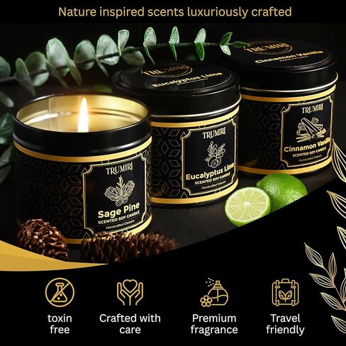 Candle Gift Set Of 3 Sage Pine|Cinnamon Vanilla|Eucalyptus Lime Highly Scented Soy Candels Clean Non Toxic Velas Aromáticas Favors For Women Coworkers Friends Guests Also For Diwali Christmas Holidays in Saudi Arabia