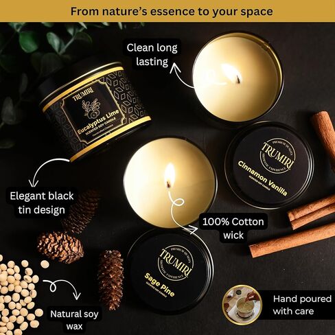 Candle Gift Set Of 3 Sage Pine|Cinnamon Vanilla|Eucalyptus Lime Highly Scented Soy Candels Clean Non Toxic Velas Aromáticas Favors For Women Coworkers Friends Guests Also For Diwali Christmas Holidays in Saudi Arabia