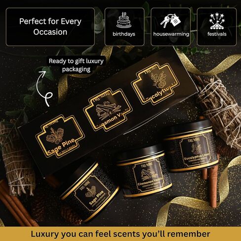 Candle Gift Set Of 3 Sage Pine|Cinnamon Vanilla|Eucalyptus Lime Highly Scented Soy Candels Clean Non Toxic Velas Aromáticas Favors For Women Coworkers Friends Guests Also For Diwali Christmas Holidays in Saudi Arabia