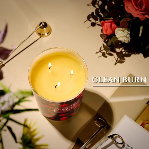 الرئيسيةأضواء الشموع المعطرة | جرة كبيرة 34 أوقية شمعة الصويا الطبيعية | يدوم لمدة 130 ساعة مع 3 فتائل | أنماط مختلطة انتقائية لديكور المنزل | هدايا للأم والنساء، بلاك شيري ميرلوت in Kuwait