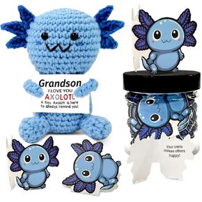 إيجابية الكروشيه الحيوان axolotl، اليدوية الدعم العاطفي أفخم الحيوانات الكروشيه مع 30pcs بطاقات التأكيد في جرة بلاستيكية، هدايا للنساء الرجال الفتيات المراهقين الأصدقاء in Kuwait