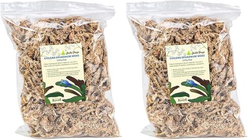 Josh's Frogs Chilean Sphagnum Moss (100g Bag) in Saudi Arabia