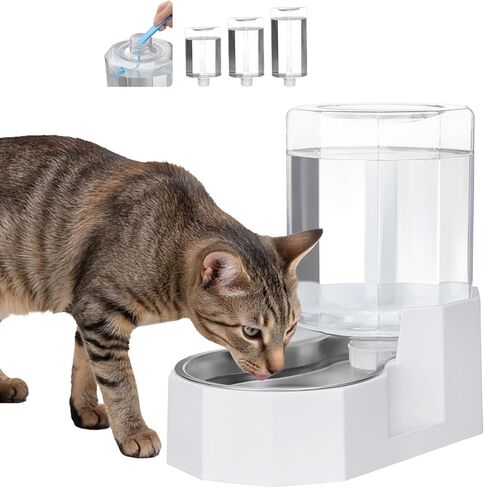 Automatic Pet Water Dispenser with Stainless Steel Bowl, Gravity Waterer, Angular Water Feeder for Small to Large Dogs and Cats (Black, 9L Without Filter) in Kuwait