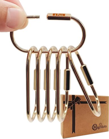 Brass Gold Carabiner Clip for Keys - Loose Leaf Binder Rings, Screw Lock Keychain and Carabiner Clip with Lock for Backpacks, Luggage Tags, Pet Collar Clips and Outdoor Accessories, 6 Packs in Saudi Arabia