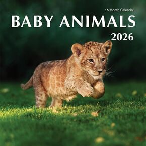 2025 Puppy Love Hangable Wall Calendar - 12" Full Page Months Dog Cute Funny Puppy Dogs Photography - Organizing & Planning in Kuwait