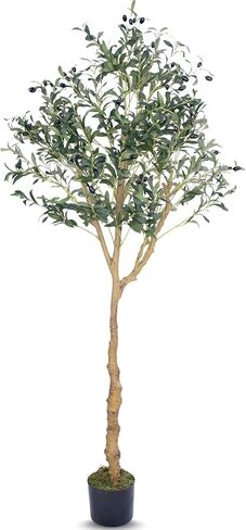 Artificial Olive Tree - 6ft Realistic Artificial Plants Indoor Decor - Elegant Faux Olive Tree for Living Room, Bedroom, Bathroom, Office - Tall Fake Potted Plants with Moss Base for Chic Home Décor in Saudi Arabia