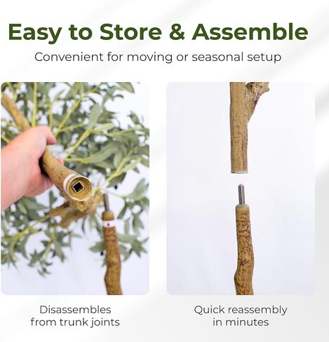 Artificial Olive Tree - 6ft Realistic Artificial Plants Indoor Decor - Elegant Faux Olive Tree for Living Room, Bedroom, Bathroom, Office - Tall Fake Potted Plants with Moss Base for Chic Home Décor in Saudi Arabia