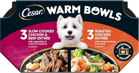 Cesar Warm Bowls Wet Dog Food Roasted Chicken Entrée, 2.7 oz. Trays, 10 Count in Saudi Arabia