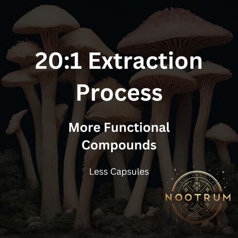 Mushrooms, 1 Month Supply of Capsules: Containing Lion's Mane, Cordyceps, Reishi and More. in Saudi Arabia