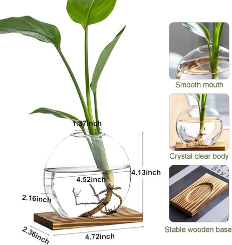 Propagation Vases for Plants - Glass Terrarium Planter with Wooden Stand, Small Desktop Oblate Hydroponic Propagation Vases for Modern Home & Office Decor (2) in Saudi Arabia