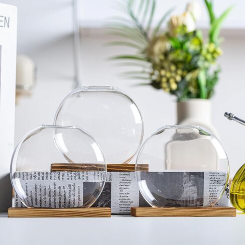 Propagation Vases for Plants - Glass Terrarium Planter with Wooden Stand, Small Desktop Oblate Hydroponic Propagation Vases for Modern Home & Office Decor (2) in Saudi Arabia