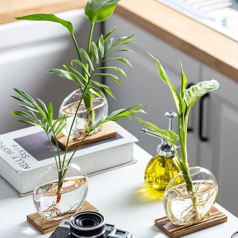 Propagation Vases for Plants - Glass Terrarium Planter with Wooden Stand, Small Desktop Oblate Hydroponic Propagation Vases for Modern Home & Office Decor (2) in Saudi Arabia