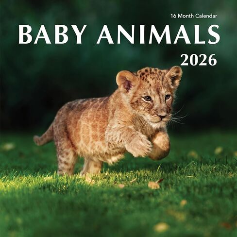 2025 Puppy Love Hangable Wall Calendar - 12" Full Page Months Dog Cute Funny Puppy Dogs Photography - Organizing & Planning in Kuwait