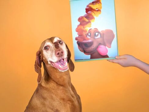 Personalized Tribute Gift for Dogs | The Goodest Boy | Hooray Heroes in Saudi Arabia