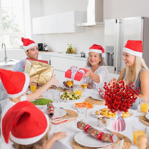 30 حزمة سيقان التوت الأحمر الاصطناعي، سيقان التوت الأحمر لعيد الميلاد، 8 بوصة من التوت الأحمر يختار عطلة DIY الحرف عيد الميلاد الحلي الزفاف ديكور المنزل شجرة عيد الميلاد الديكور in Kuwait