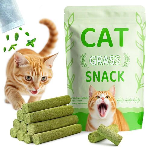 ألعاب Cat ، 6pcs ألعاب هريرة للعب Cat Cat Catnip Indoor لمضغ Cat Silvervine Stick لتنظيف أسنان Cat Dental Treat Cat Toy Snack Kitty Toy Play Wand Cat Mint Cat Lick in Kuwait
