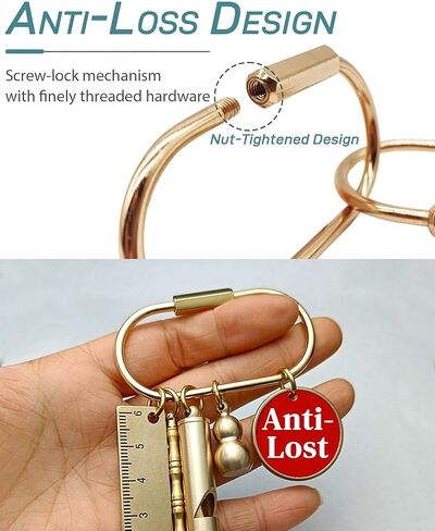 Brass Gold Carabiner Clip for Keys - Loose Leaf Binder Rings, Screw Lock Keychain and Carabiner Clip with Lock for Backpacks, Luggage Tags, Pet Collar Clips and Outdoor Accessories, 10 Packs in Saudi Arabia