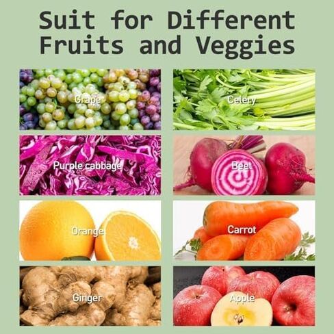 whall® عصارة بطيئة، عصارة مضغ، آلات عصارة الكرفس، آلات عصارة الضغط البارد للخضروات والفواكه، عصارات بمحرك هادئ ووظيفة عكسية، سهلة التنظيف بفرشاة، رمادي in Kuwait