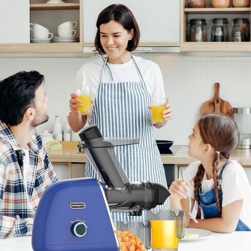 Masticating Juicer Cold Press Slow Juicer Machine - Whole Fruit and Vegetable Juice Extractor, Multiple Filters, Easy to Clean, Durable - Blue in Kuwait