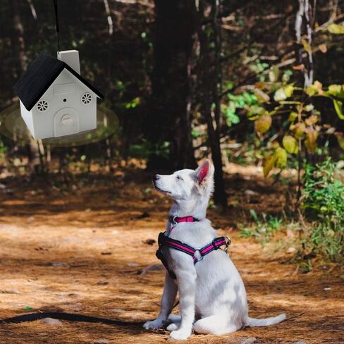 جهاز XSUPER المضاد للنباح، جهاز التحكم في النباح في الهواء الطلق مع تحكم في مستوى الموجات فوق الصوتية قابل للتعديل، منتجات تدريب الحيوانات الأليفة لمنع نباح الكلاب in Kuwait