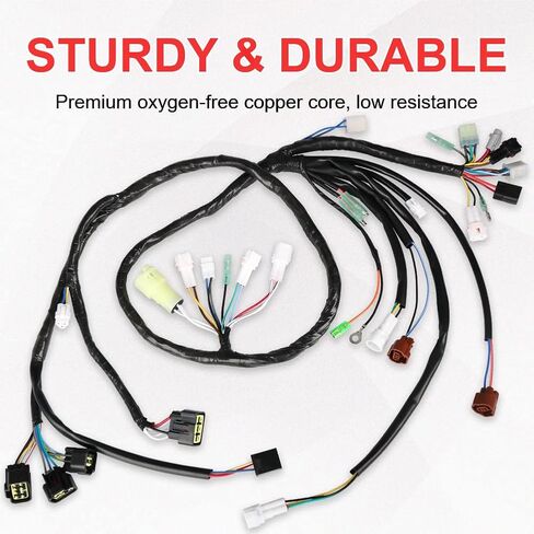 SKYJDM Main Wire Harness Assy Compatible with 2002-2004 Yamaha Raptor 660R YFM660R Replacement for 5LP-82590-10-00 in Saudi Arabia