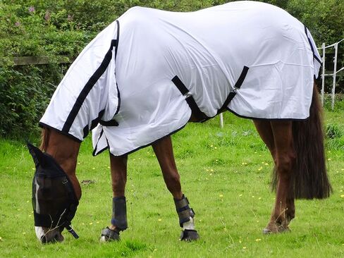 سجادة Turner Cool White Fly للحصان/المهر/شتلاند - مجموعة رقبة كاملة خفيفة الوزن - 72 بوصة in Kuwait