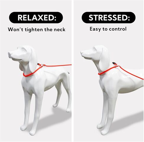 مقود منزلق للكلاب مضاد للسحب مع مقبض مرور، مقود تدريب للكلاب مقاوم للماء للكلاب المتوسطة والكبيرة، مقود حبل للكلاب عالي التحمل مضاد للرائحة بطول 6 أقدام (أسود، 6 أقدام) in Kuwait