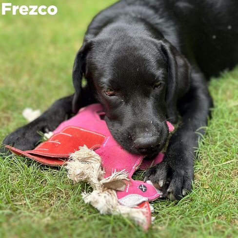 Frezco Elephant Dog Toy | Handmade with Natural Suede Leather | Ideal for Teething, Puppy, Small and Medium Dogs | 100% Stuffed with Coconut Fibres in Saudi Arabia