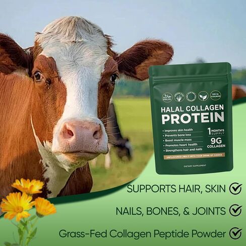 مسحوق بروتين الكولاجين الحلال، مسحوق ببتيدات الكولاجين العشبي، النوع الأول والثالث، متحلل بنسبة 100% للشعر والبشرة والأظافر والأمعاء والعظام والمفاصل للنساء والرجال، خالي من السكر، بدون نكهة (1) in Kuwait