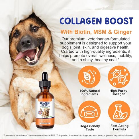 Collagen for Dogs 60ml, Liquid Dog Collagen Drops, Liquid Collagens for Dogs Joints, Skin & Coat, Support Dog Itchy Skin Relief & Digestive Health, Pet Supplement with Biotin,MSM&Ginger, Bacon Flavor in Kuwait