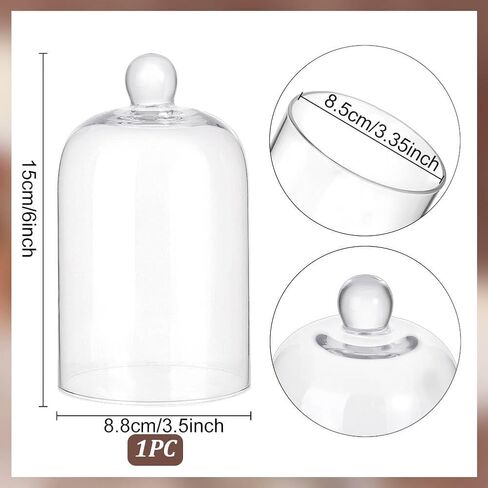 PH PandaHall 6x3.5 Inch Glass Dome Glass Cloche Mini Crystal Cloche Display Dome Vintage Style Pocket Watch Display Dome Bell Jar for Flower Jewellery Christmas Centerpiece Supplies, No Base in Saudi Arabia
