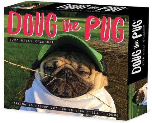 Willow Creek Press Doug the Pug -USA Daily 2025 Box/Desk Calendar (5.86" x 4.72") in Saudi Arabia