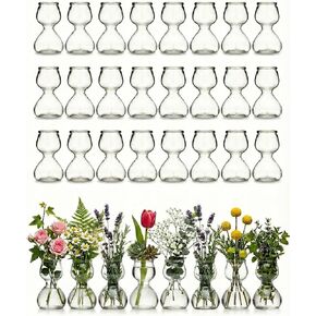 Garden Guru Plant Propagation Stations - Clear Glass Bud Vases Set of 2 - Mini Vases for Wedding Centerpieces, Cafe Décor, Tea Shop Displays - Small Hydroponic & Flower Vase in Saudi Arabia